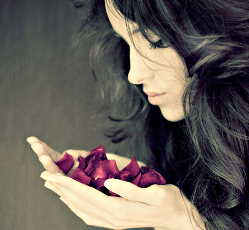 Woman Holding Rose Petals — Purple