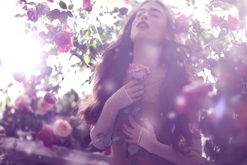Woman Holding Rose — Purple, Serene, Afternoon