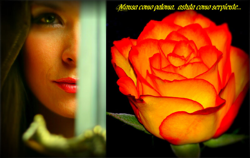 Woman Holding Rose — Red, Dramatic, Photograph