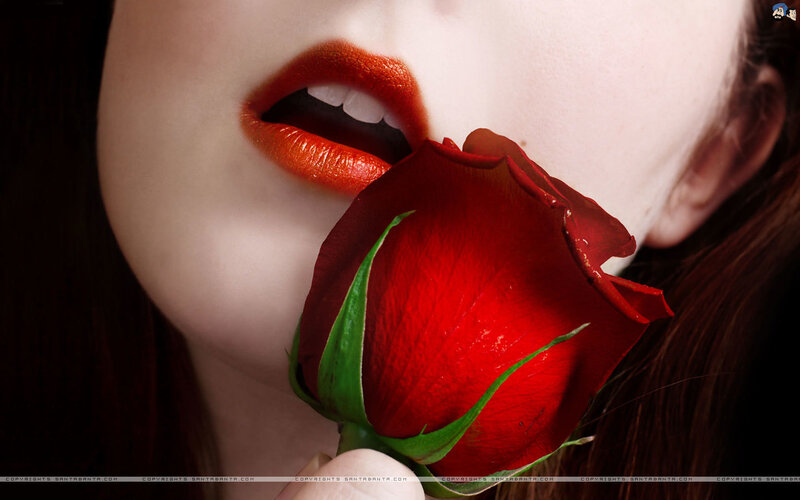 Woman Holding Rose — Red
