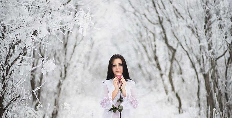 Woman Holding Rose — White, Serene, Winter, Photograph