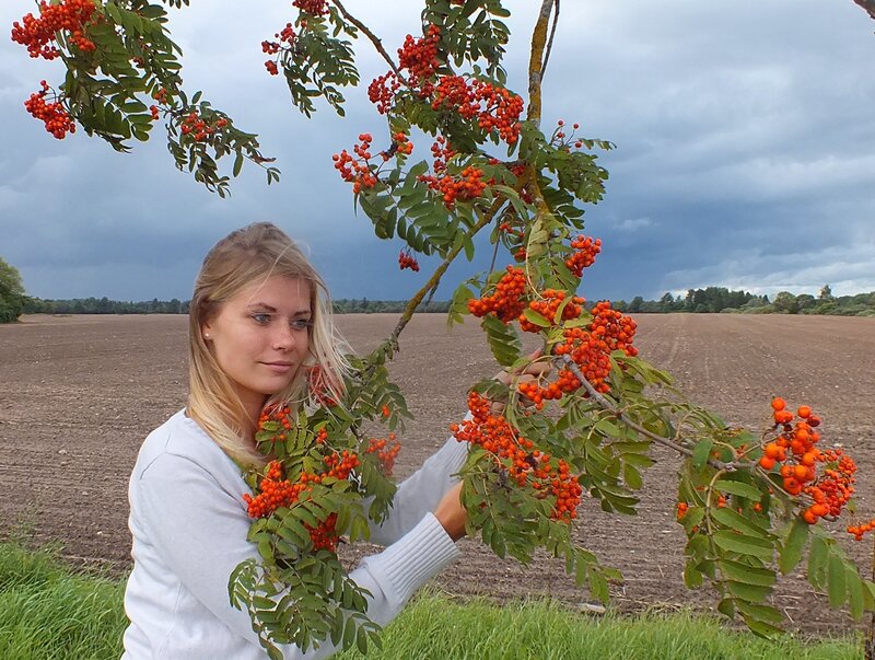 Woman Holding Rowan Branch — Green
