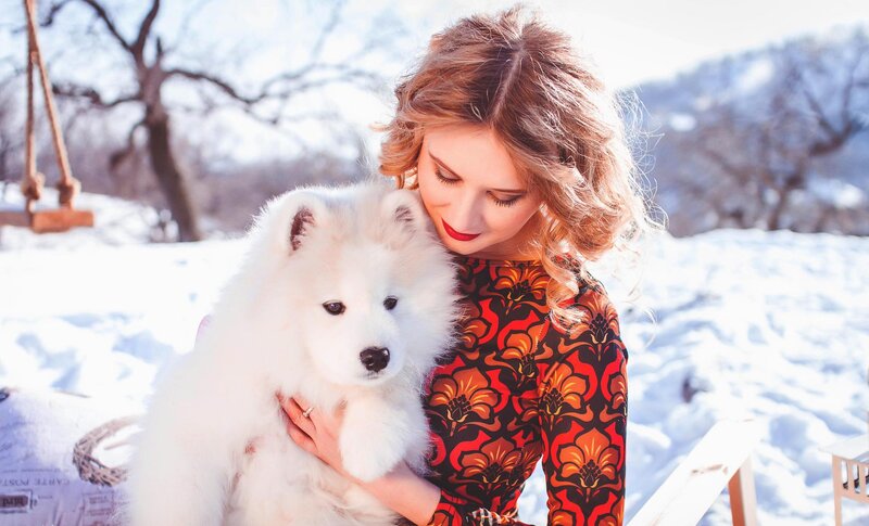 Woman Holding Samoyed Puppy