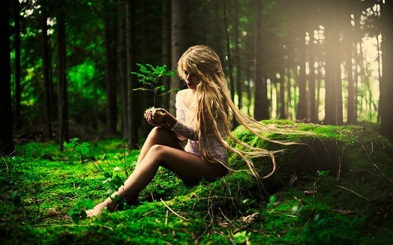 Woman Holding Sapling