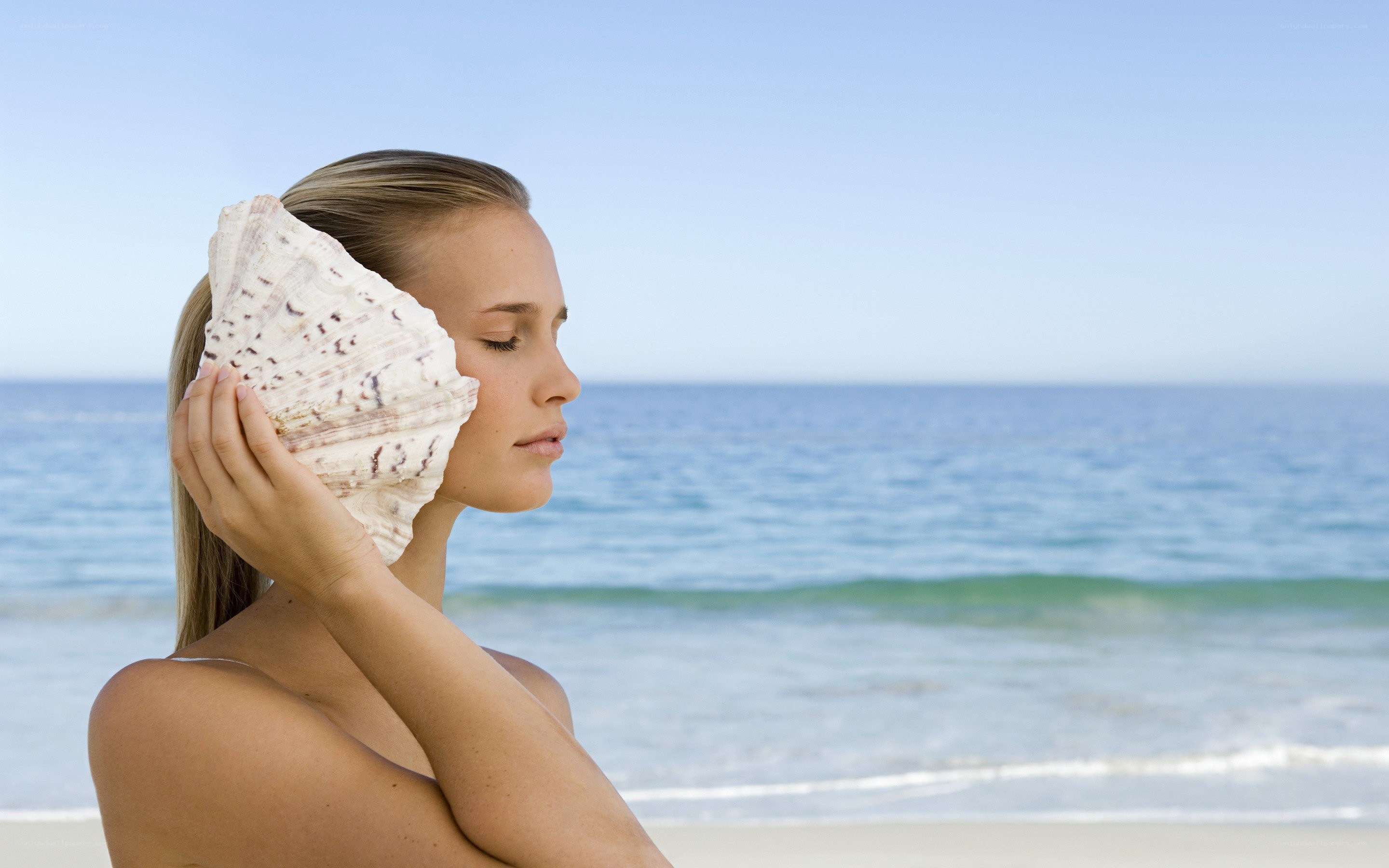 woman holding seashell at beach
