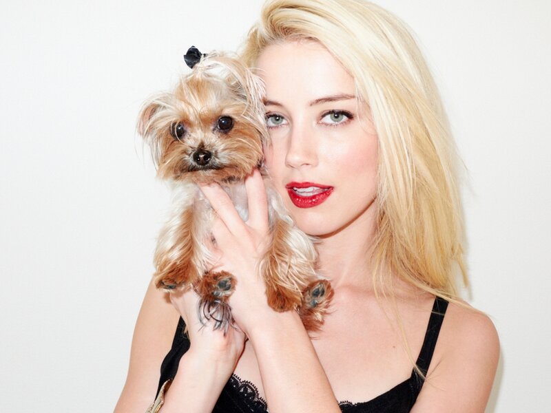Woman Holding Small Dog — Blonde
