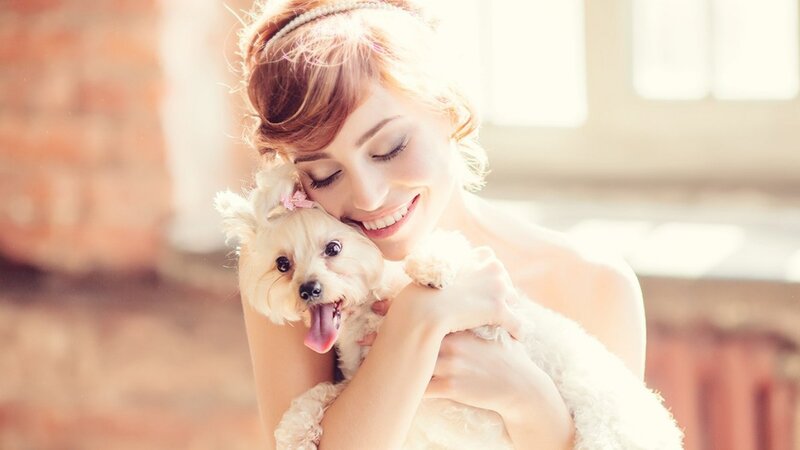 Woman Holding Small Dog — White, Serene