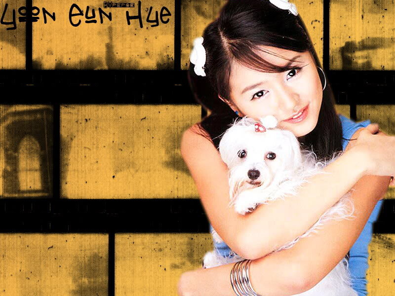 Woman Holding Small Dog — Yellow