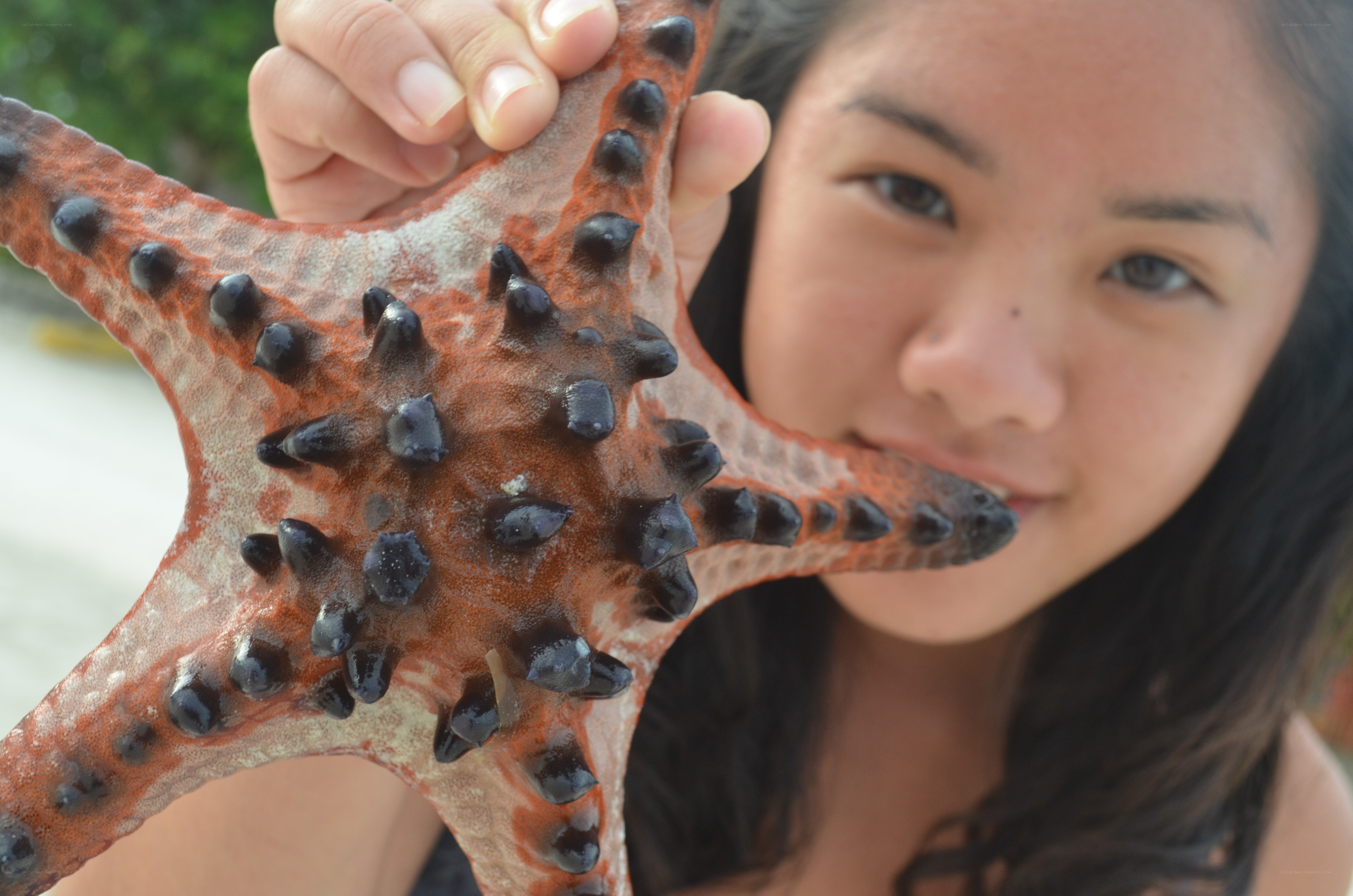 woman holding starfish