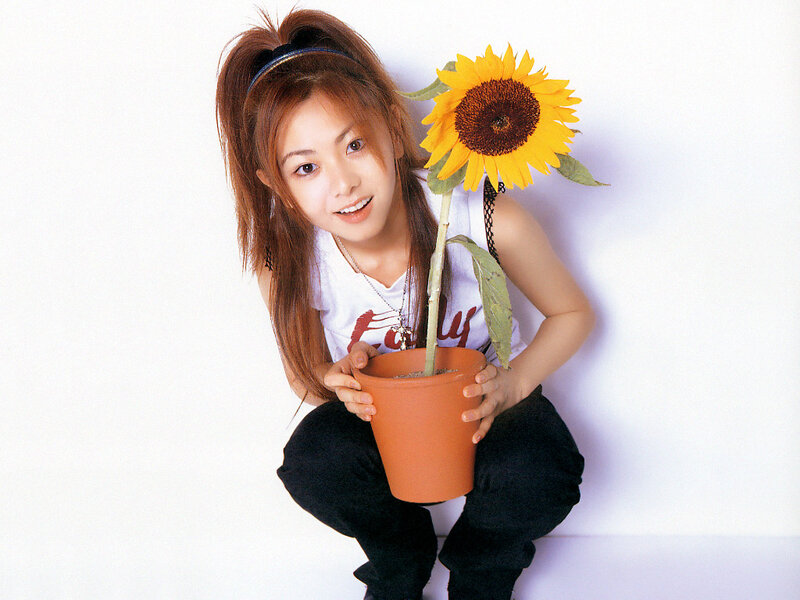 Woman Holding Sunflower — Yellow, Cheerful