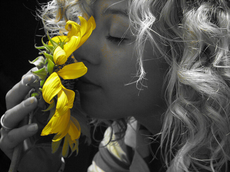 Woman Holding Sunflower — Yellow, Serene, Photograph