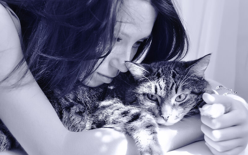 Woman Holding Tabby Cat — Blue, Calm