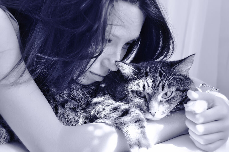 Woman Holding Tabby Cat — Blue
