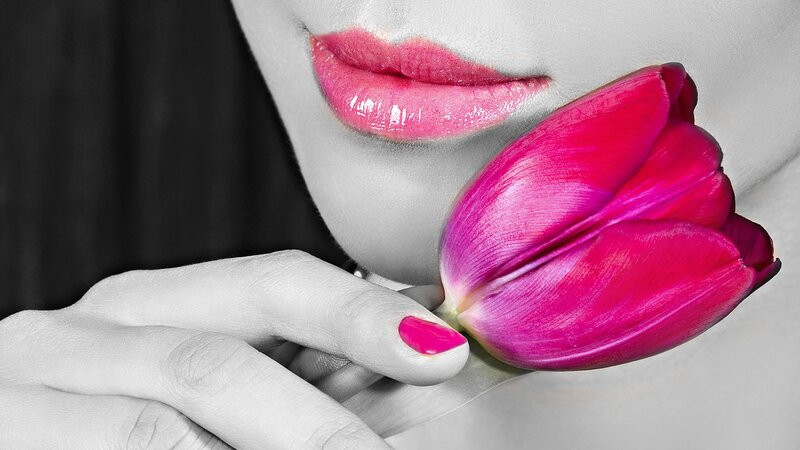 Woman Holding Tulip — Pink
