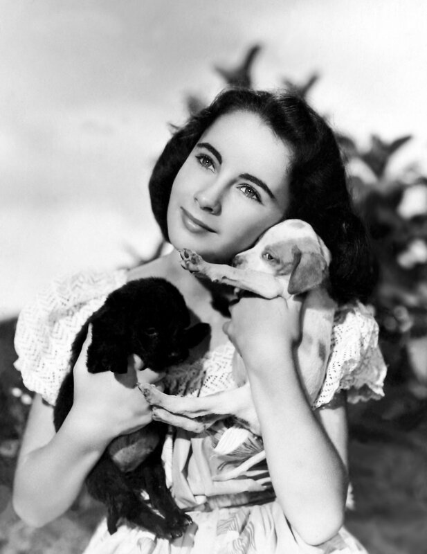 Woman holding two puppies