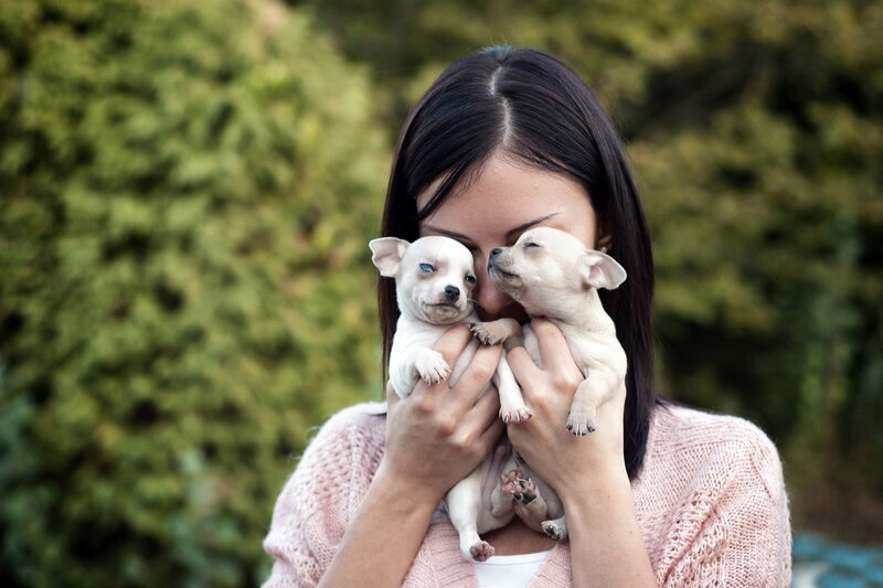 woman holding two puppies