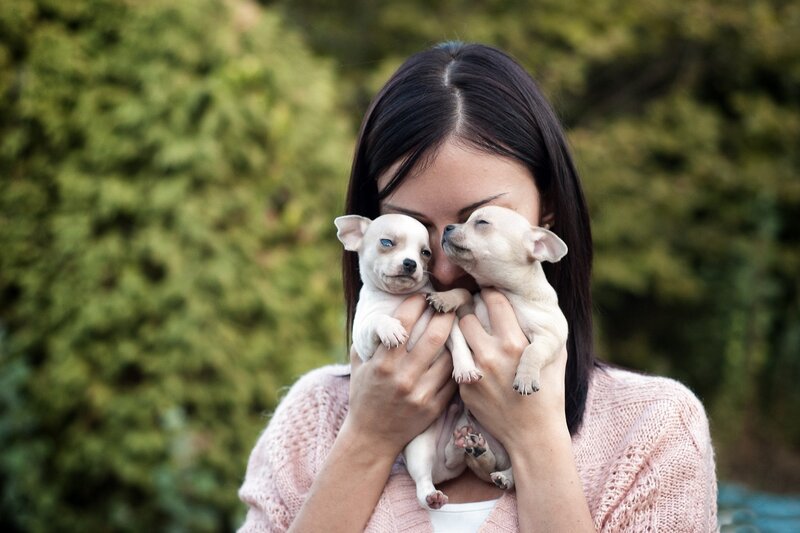 Woman Holding Two Puppies — Pink