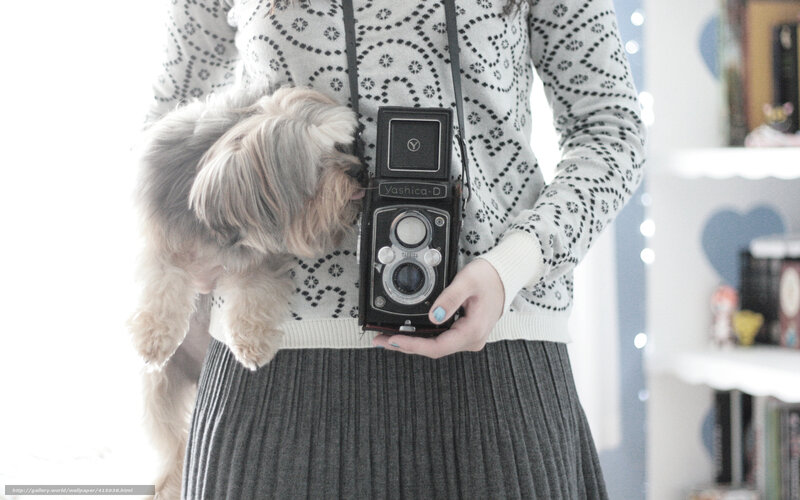 woman holding vintage camera with dog