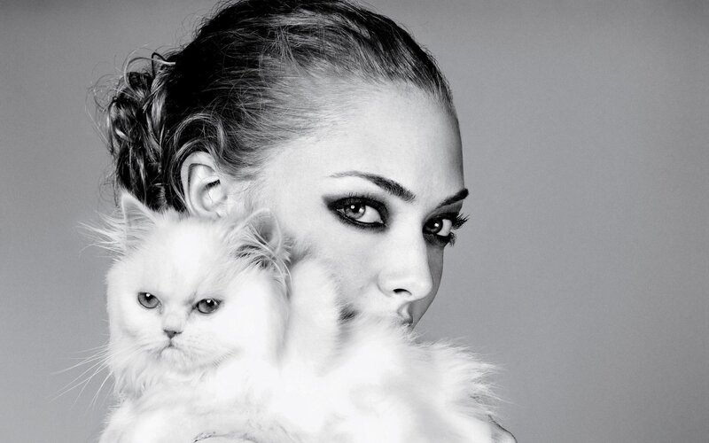 Woman Holding White Cat — Black, Dramatic, Photograph, Makeup