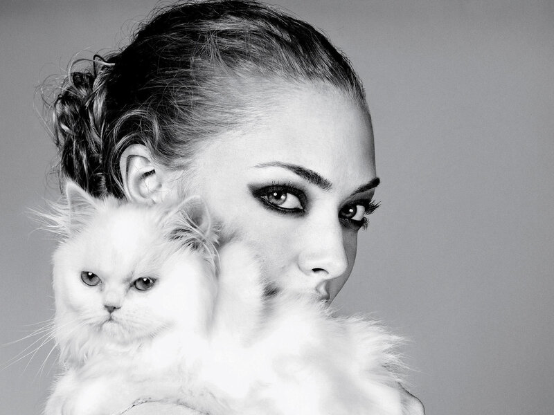 Woman Holding White Cat — Black, Dramatic, Photograph