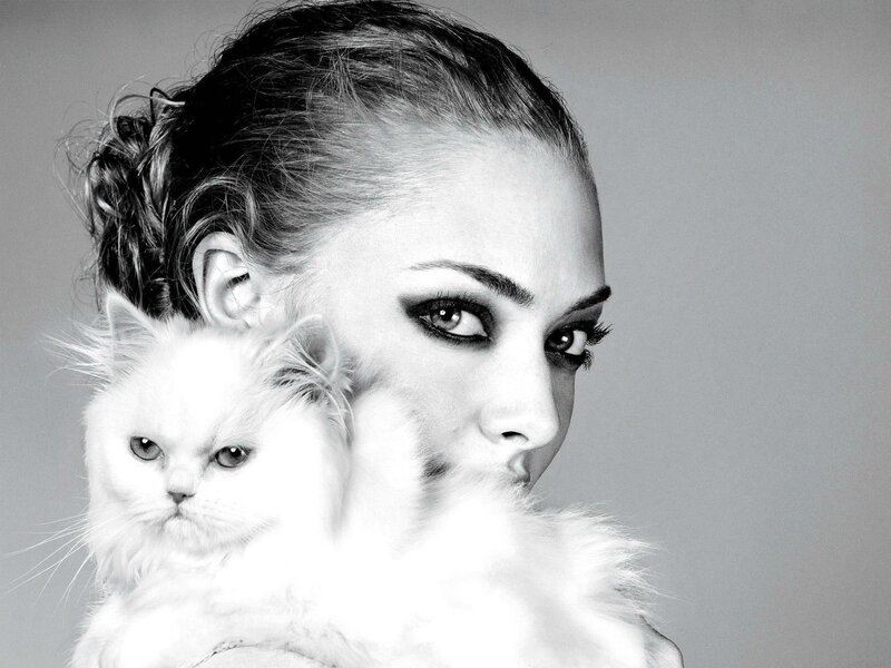 Woman Holding White Cat — Black, Dramatic