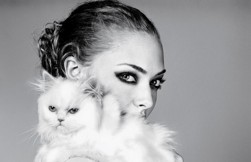 Woman Holding White Cat — Black
