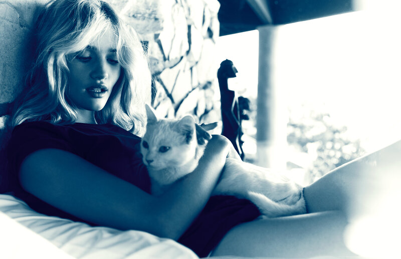 Woman Holding White Cat — Blue, Calm