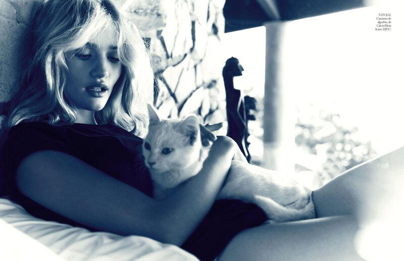 Woman Holding White Cat — Blue, Serene, Afternoon