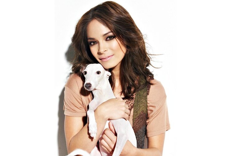 Woman Holding White Dog — Calm, Photograph, Scarf