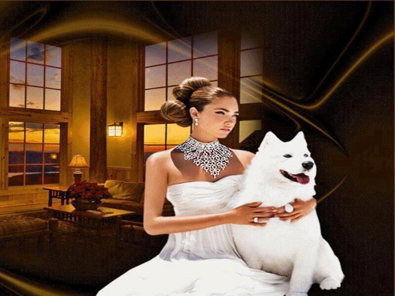 Woman Holding White Dog — Dramatic