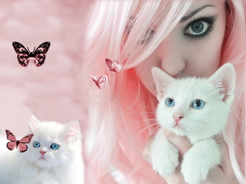 Woman Holding White Kittens