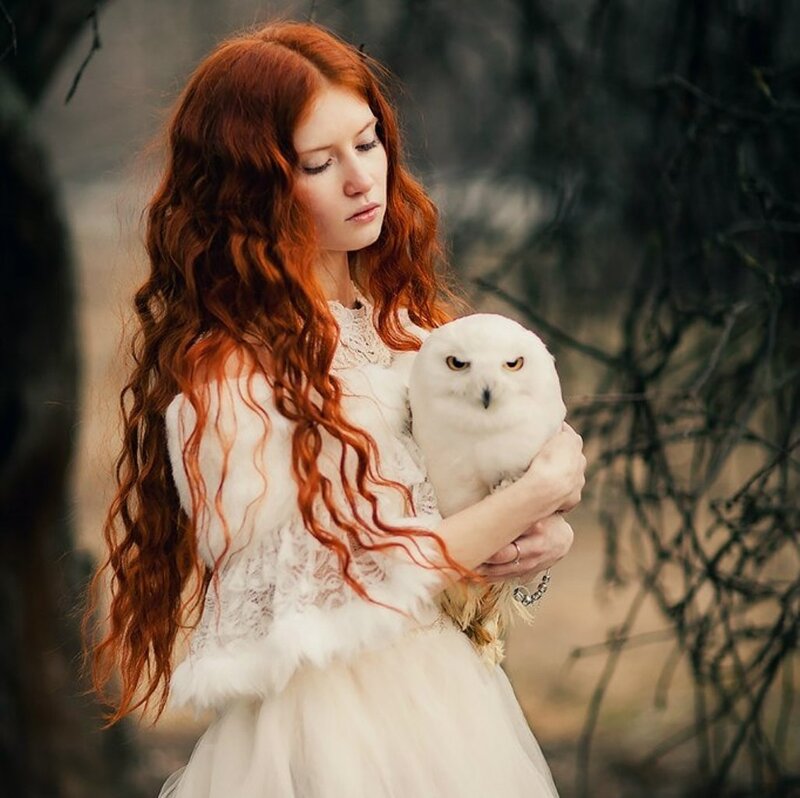 Woman Holding White Owl