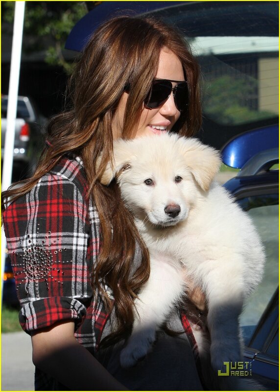 woman holding white puppy