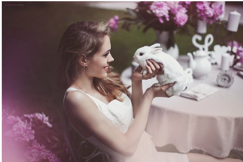 Woman Holding White Rabbit — Serene, Afternoon, Photograph