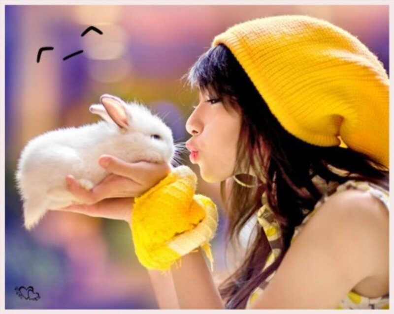Woman Holding White Rabbit — Yellow