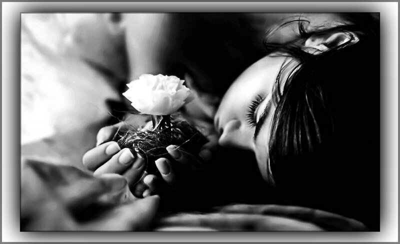 Woman Holding White Rose — Black, Dramatic, Photograph