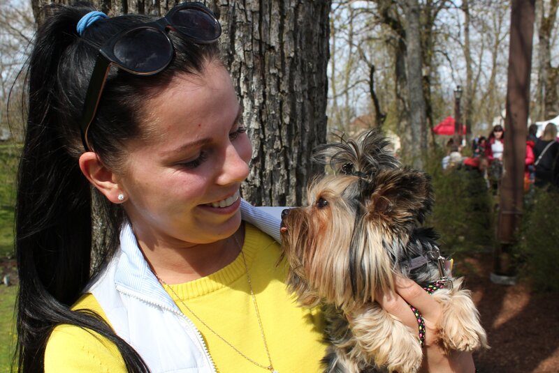 Woman Holding Yorkshire Terrier — Yellow