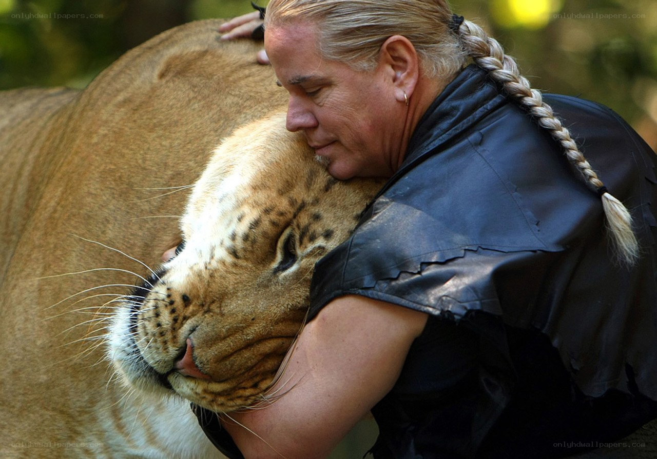Woman hugging a lion