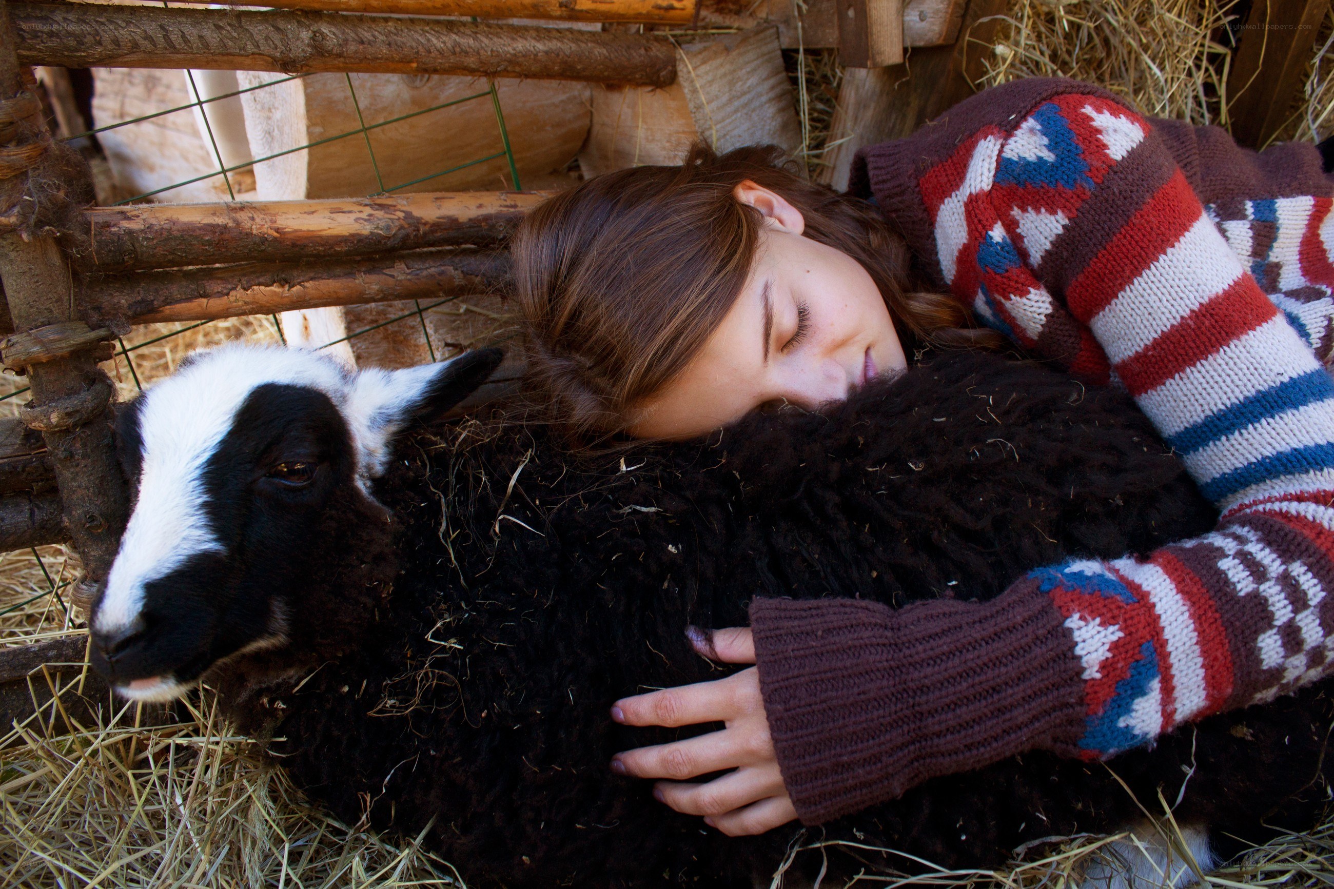 Woman hugging a sheep