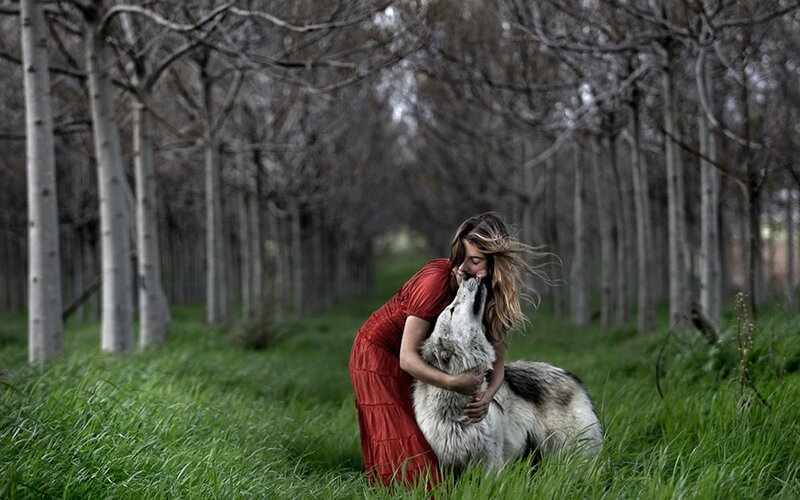 Woman hugging a wolf in forest