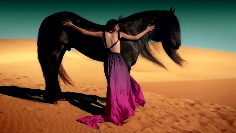 Woman Hugging Black Horse — Purple