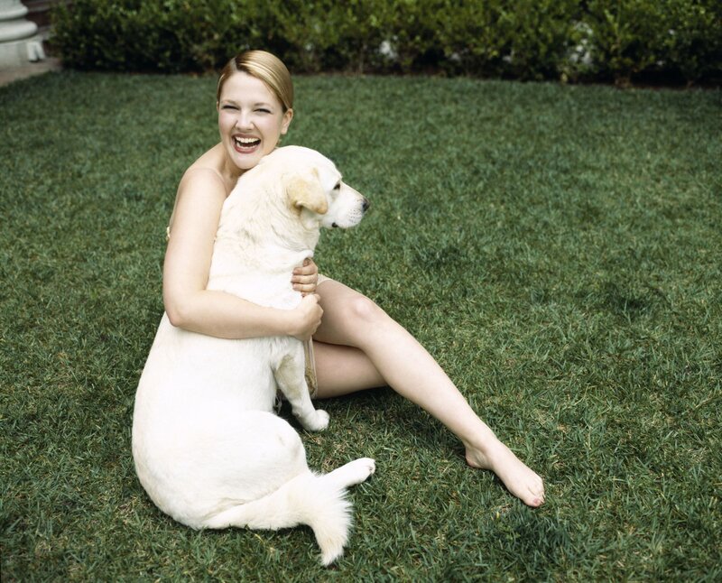 Woman Hugging Dog — Green, Happy