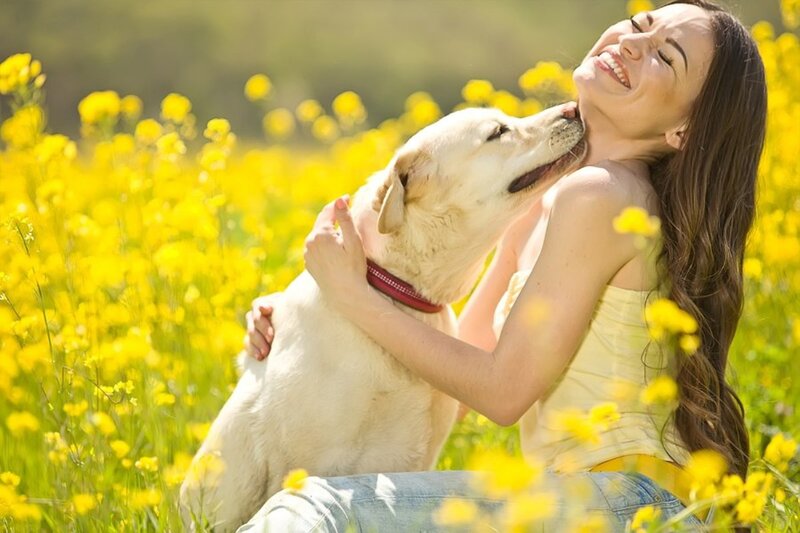 Woman Hugging Dog — Yellow, Joyful
