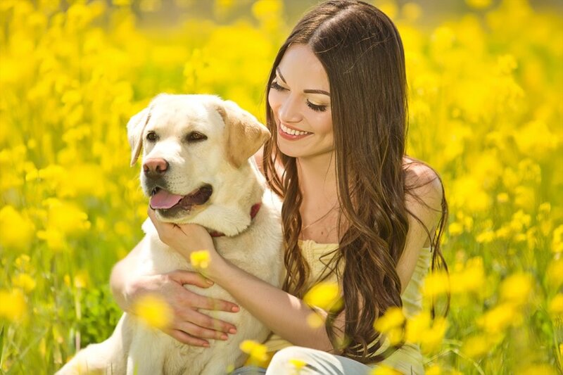 Woman Hugging Dog — Yellow