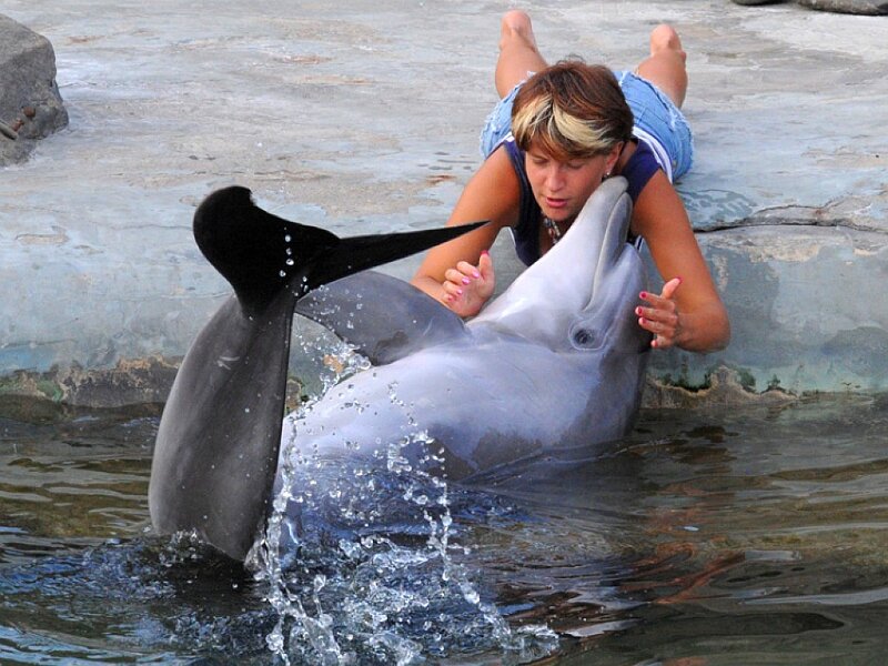 Woman hugging dolphin in water