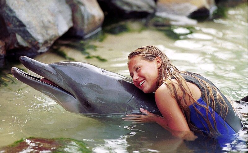 woman hugging dolphin in water