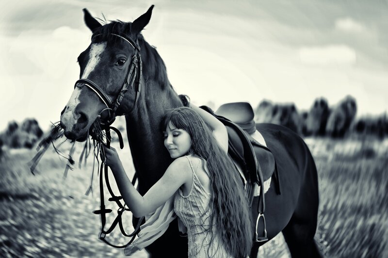 Woman Hugging Horse — Black, Serene, Afternoon, Photograph, Saddle