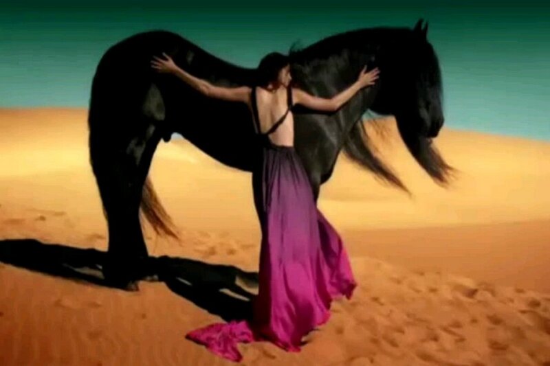 Woman Hugging Horse — Black