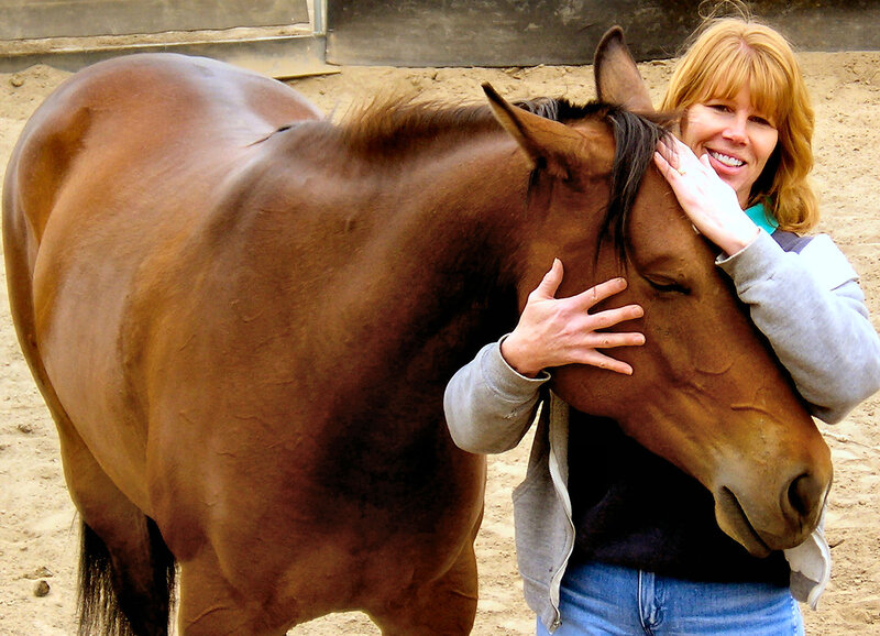 Woman Hugging Horse — Brown, Affectionate