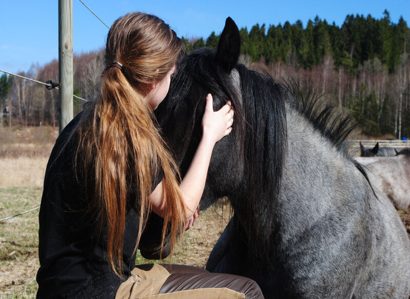 Woman Hugging Horse — Brown, Calm, Spring